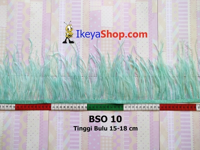 BSO 10  large2